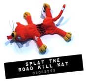 Gatito atropellado